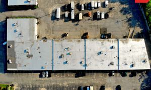 2018-08/1533667100_top-down-2-1