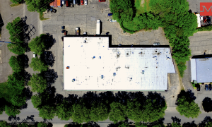 2018-08/screen-shot-2018-06-10-at-2.24.17-pm